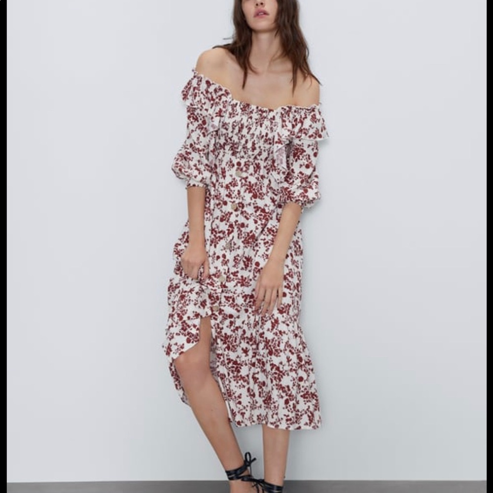 Zara Printed Rustic Dress